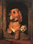 Sir Edwin Landseer Dignity and Impudence Spain oil painting artist